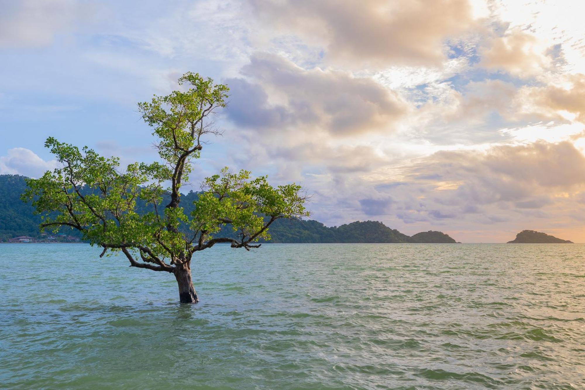 Utalay Koh Chang Villas エクステリア 写真